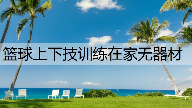 篮球上下技训练在家无器材
