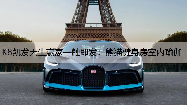 K8凯发天生赢家一触即发：熊猫健身房室内瑜伽