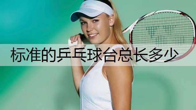 标准的乒乓球台总长多少