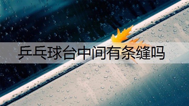 乒乓球台中间有条缝吗