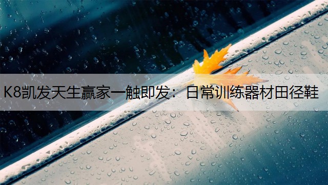 K8凯发天生赢家一触即发：日常训练器材田径鞋