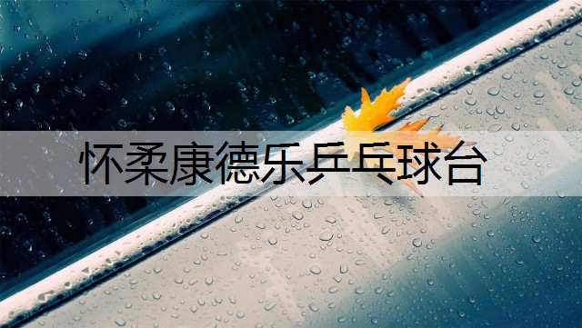 怀柔康德乐乒乓球台