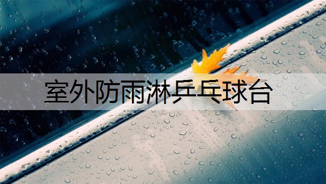 室外防雨淋乒乓球台
