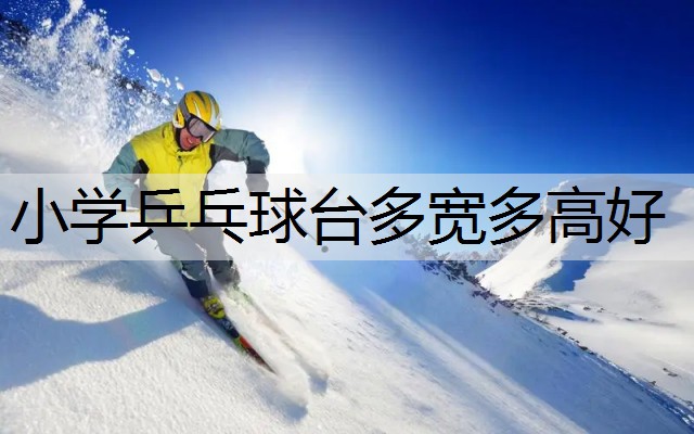 小学乒乓球台多宽多高好