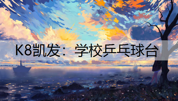 K8凯发：学校乒乓球台