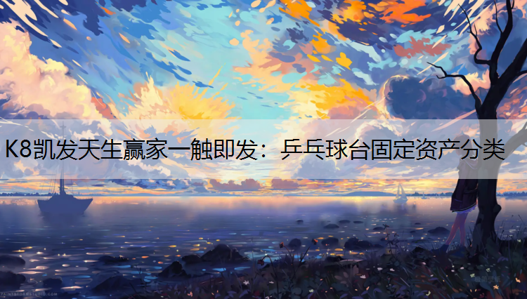 K8凯发天生赢家一触即发：乒乓球台固定资产分类