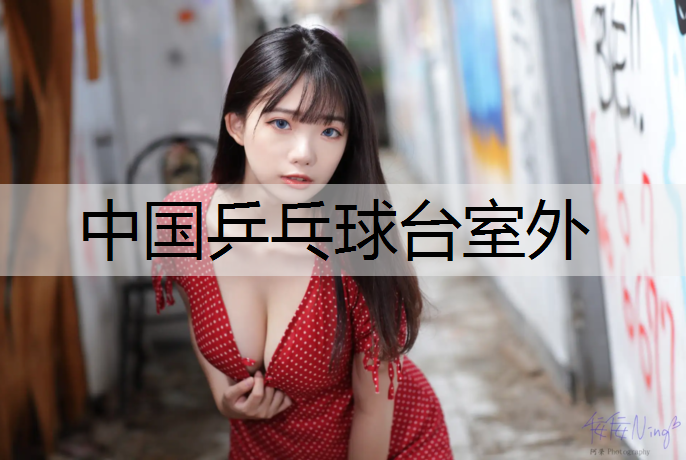 中国乒乓球台室外