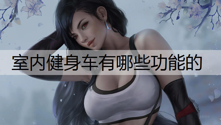 室内健身车有哪些功能的