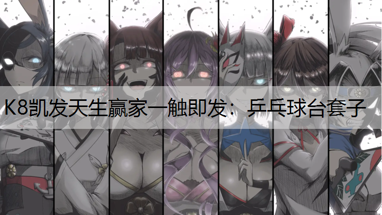 K8凯发天生赢家一触即发：乒乓球台套子