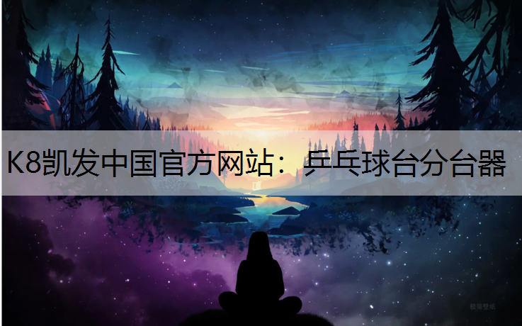 K8凯发中国官方网站：乒乓球台分台器