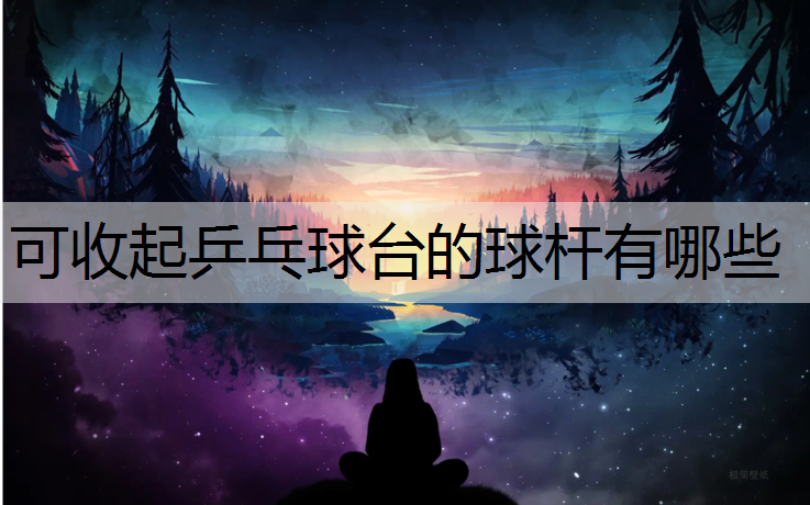 可收起乒乓球台的球杆有哪些