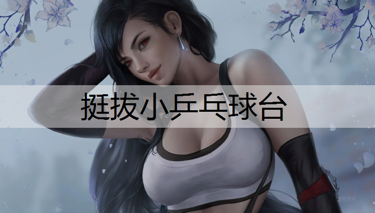 挺拔小乒乓球台