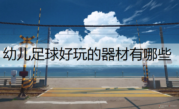 幼儿足球好玩的器材有哪些