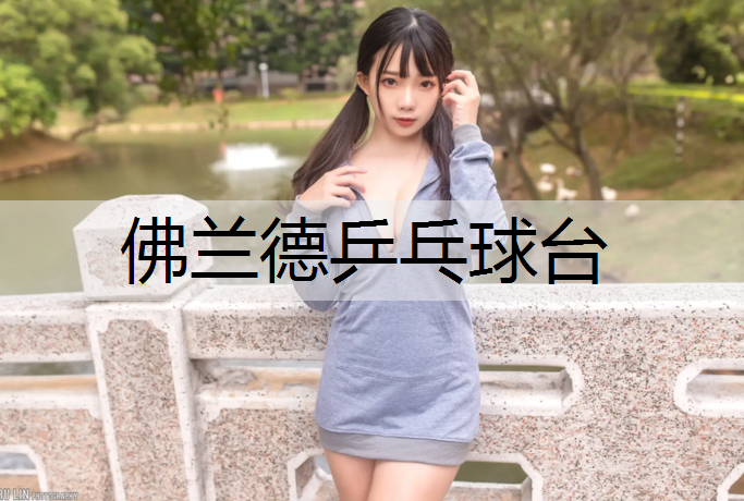 佛兰德乒乓球台