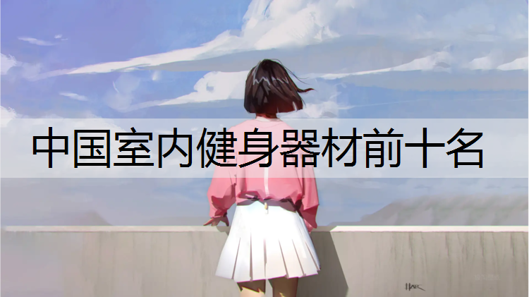 中国室内健身器材前十名