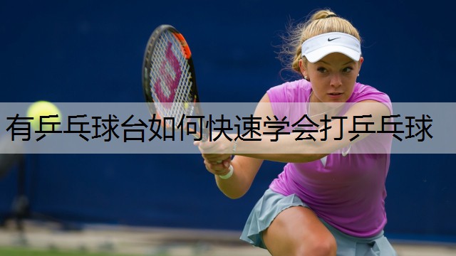 有乒乓球台如何快速学会打乒乓球