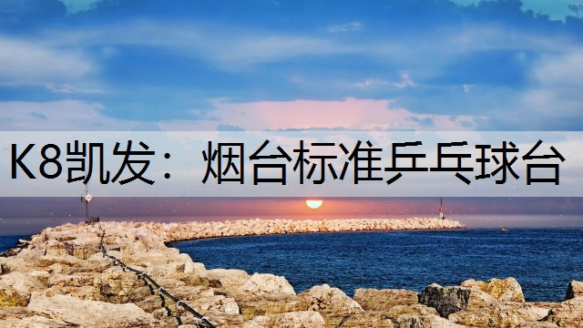 烟台标准乒乓球台
