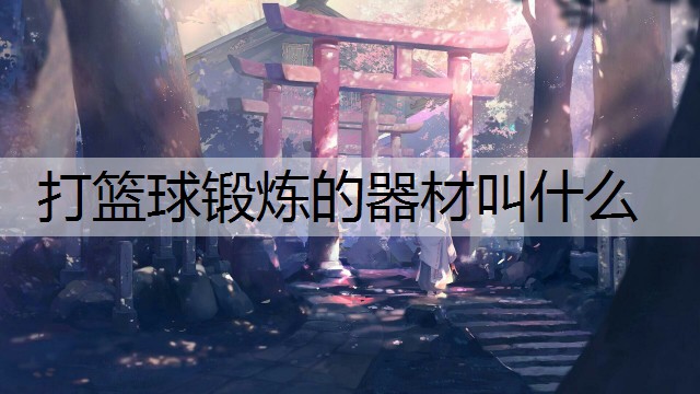 打篮球锻炼的器材叫什么