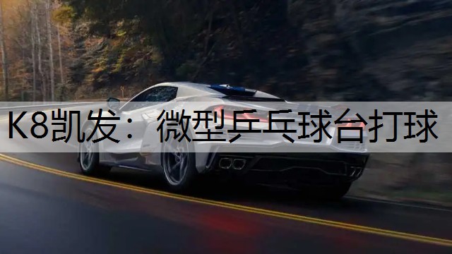 微型乒乓球台打球