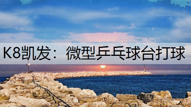 微型乒乓球台打球