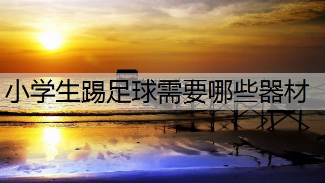 小学生踢足球需要哪些器材