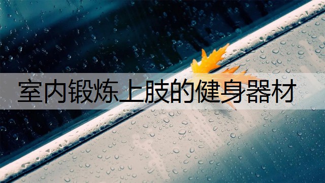 室内锻炼上肢的健身器材