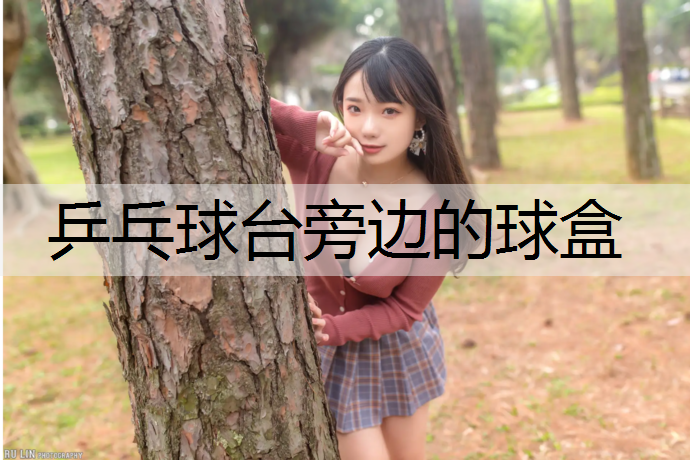 乒乓球台旁边的球盒