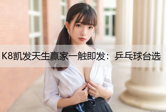乒乓球台选