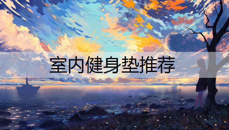 室内健身垫推荐