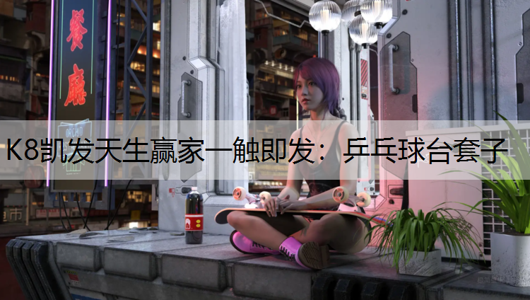 乒乓球台套子 乒乓球台套子