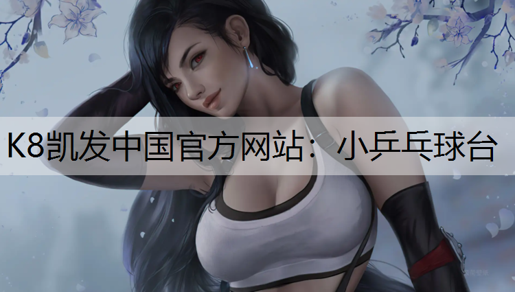 小乒乓球台