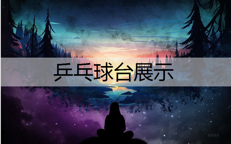 乒乓球台展示